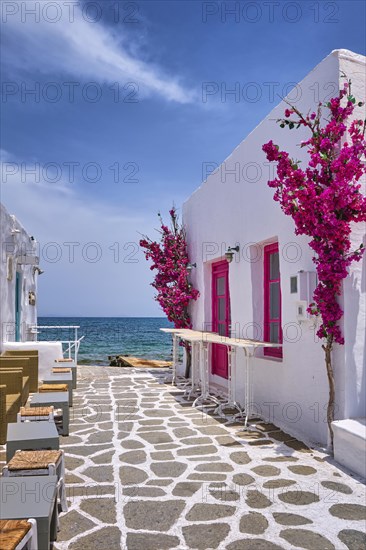Beautiful street of Greek island town open right to seafront on sunny summer day. Whitewashed houses