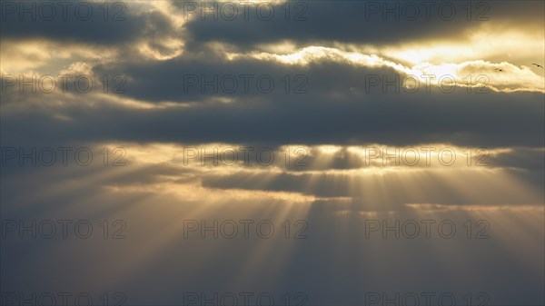 Sunbeams shining through clouds