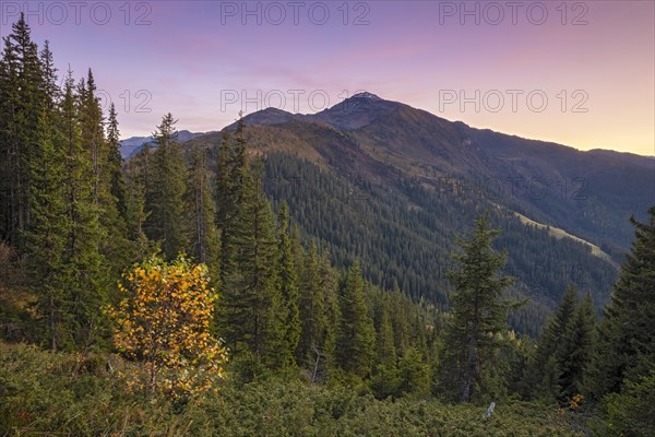 Mountain landscape in autumn