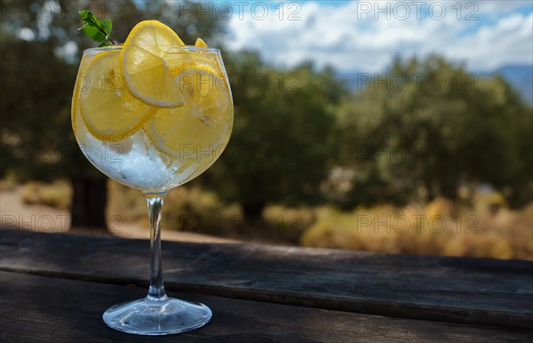 Glass with tonic water