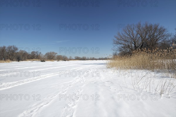 Snow covered frozen river