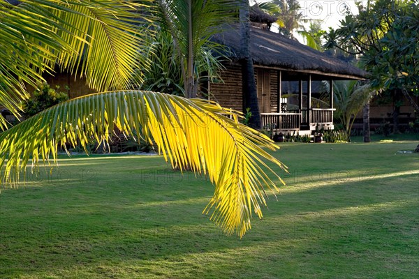 Palm frond and bungalow at Silver Beach