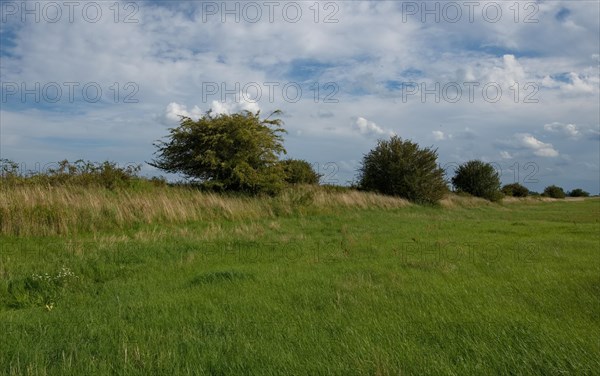 Elbe dyke near Rueterberg