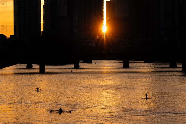 Some stand-up paddlers paddle on the Main in Frankfurt shortly in front of sunset