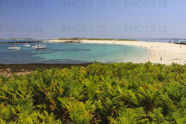 Sailing boats in the roadstead between Ile Saint-Nicolas and Ile Bananec