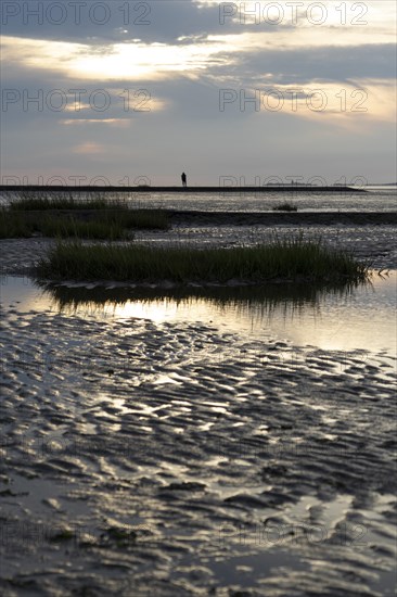 Mudflats at low tide with water reflection at dusk on the beach of Cuxhaven