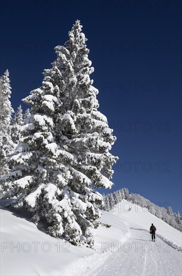 Deep snowy winter landscape with ski tourers on the way to the Zwoelferhorn