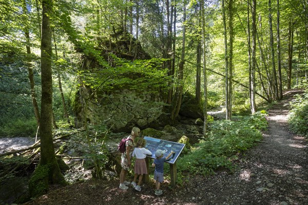 Hiker in front of an information board in the forest Wasser Zauber Weg near Hintersee