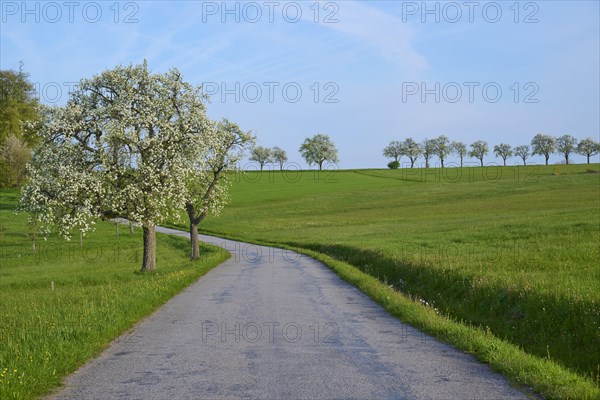 Field path