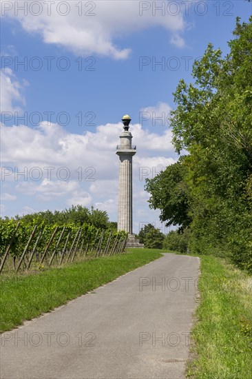 Constitution Column