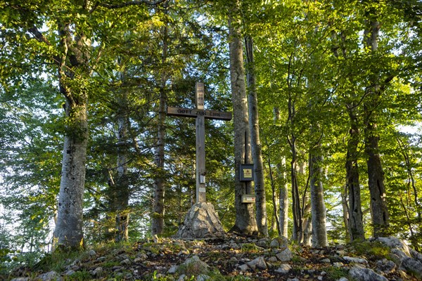 Summit cross in the deciduous forest on the Gurlspitze