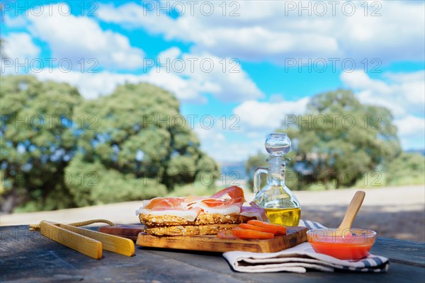 Toast of serrano ham with tomato and virgin olive oil typical spanish breakfast on a wooden board with a forest landscape with a cloudy blue sky in the background