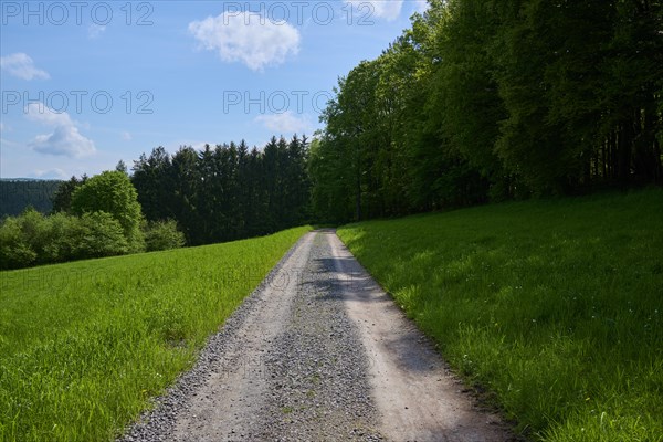 Country lane