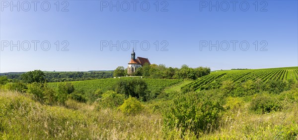 Pilgrimage church Maria im Weingarten