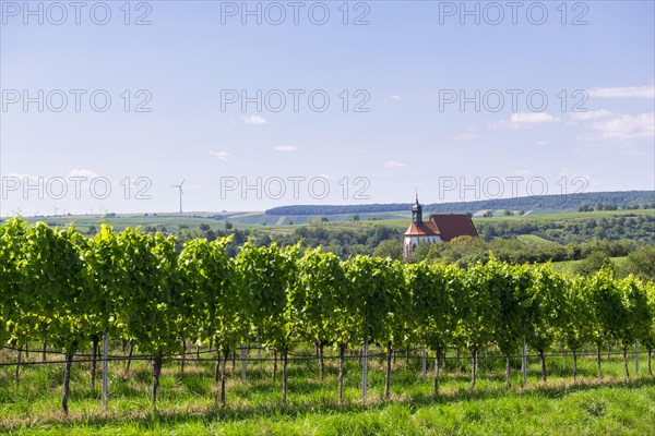 Pilgrimage church Maria im Weingarten