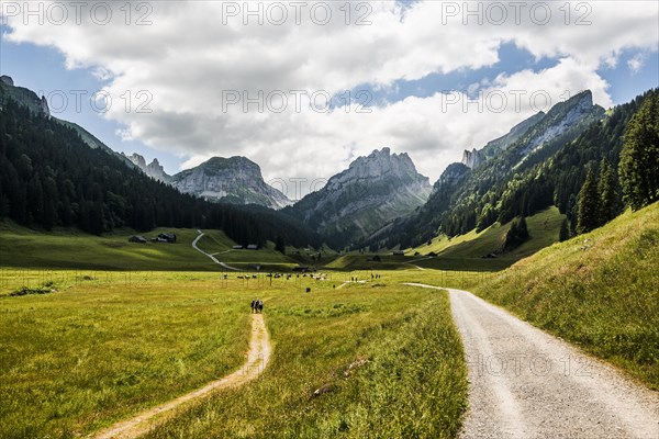 Mountain landscape and hiking trail