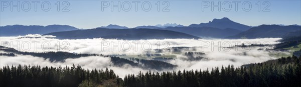 Morning sun in the valley