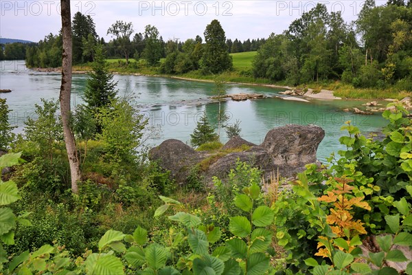 The river bank of the Lech in Lechbruck with a view of a rock formation. In the background is a wooded area with trees and a blue sky with white clouds. The picture has a peaceful and calm mood. Lechbruck