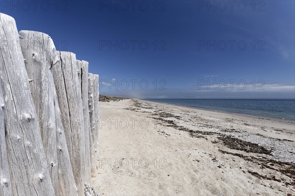 Palisades on a beach