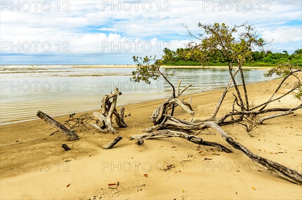 Remote beautiful beach surrounded by maggroves in Serra Grande on the south coast of Bahia