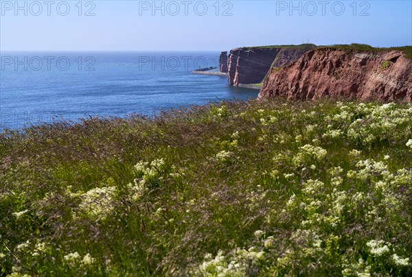 Lange Anna with cliffs on the high seas island of Helgoland