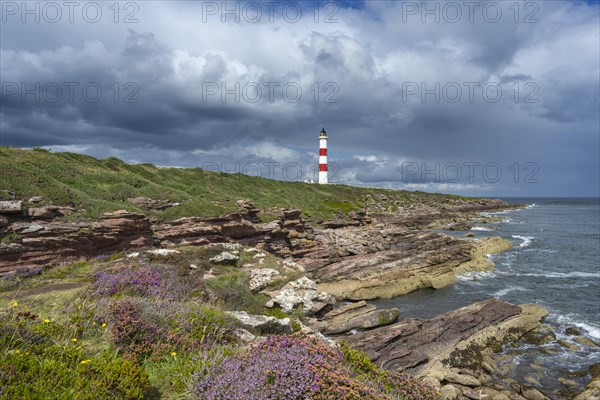 The Tarbat Ness Lighthouse on the Moray Firth