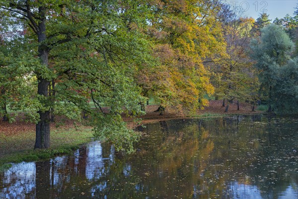 Park of Matzen Castle in autumn