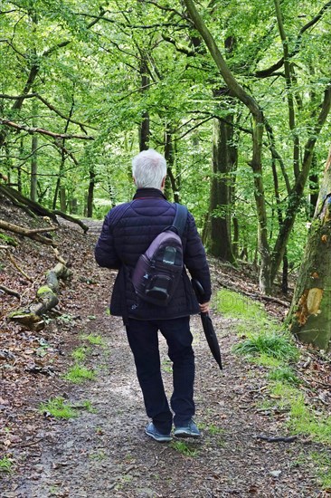 Kellerwald-Edersee National Park in late summer