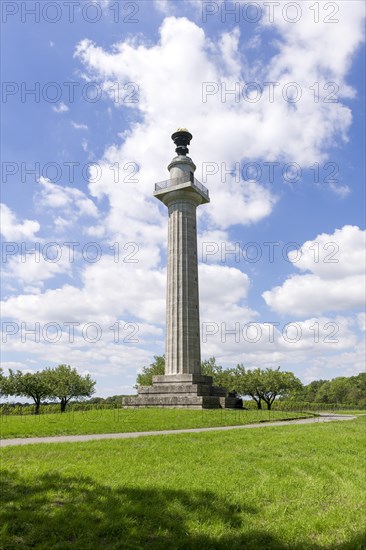 Constitution column