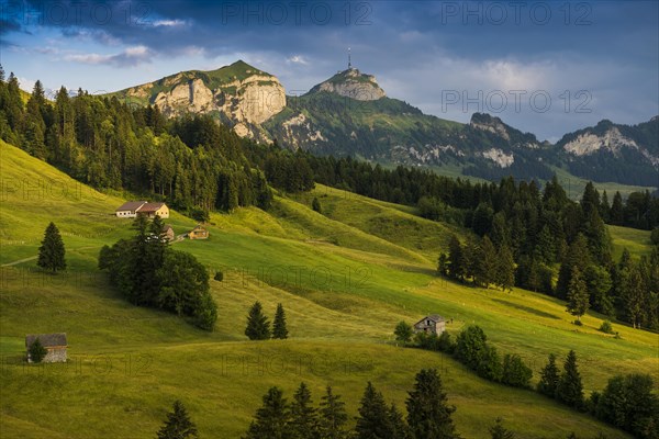 Alpine huts