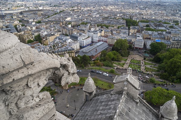 View of Paris from the tower of the Sacre-Coeur de Motmartre Basilica