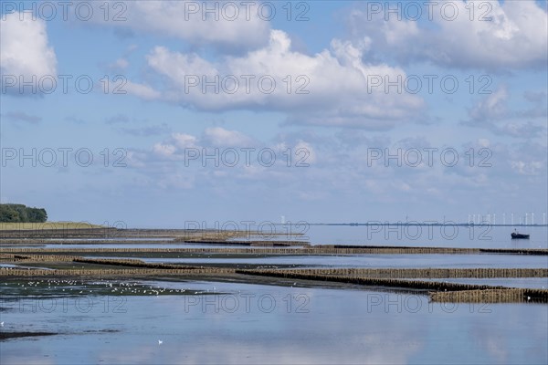 Mudflat landscape at low tide with lahnungen