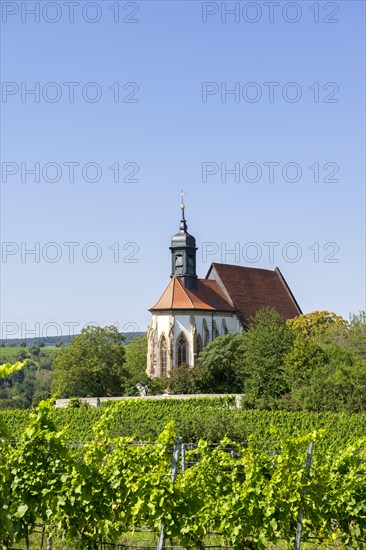 Pilgrimage church Maria im Weingarten