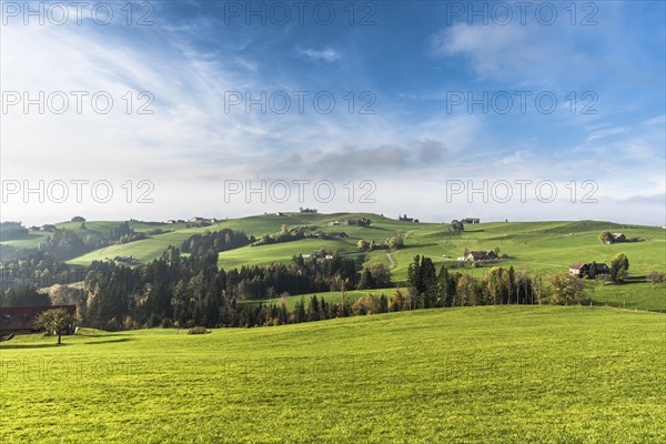 Hilly landscape with farms and green meadows in Appenzellerland