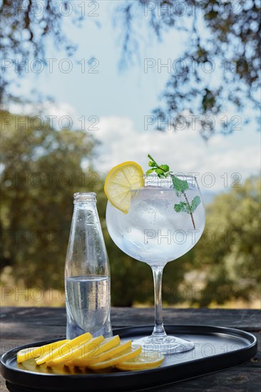 Glass of gin and tonic with ice