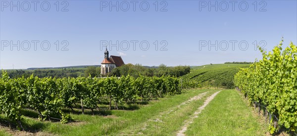 Pilgrimage church Maria im Weingarten