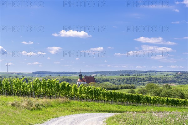 Pilgrimage church Maria im Weingarten