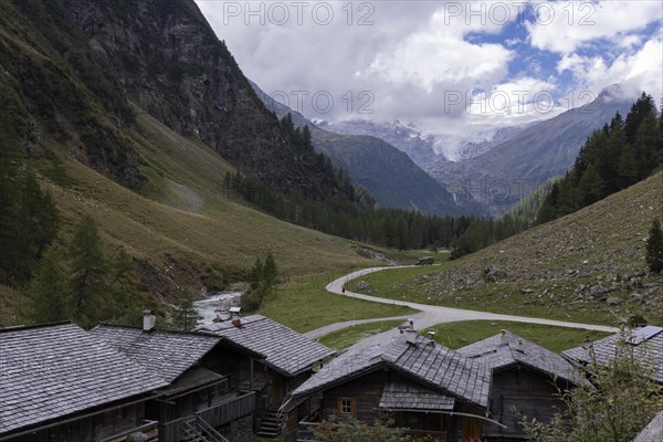 Alpine pasture