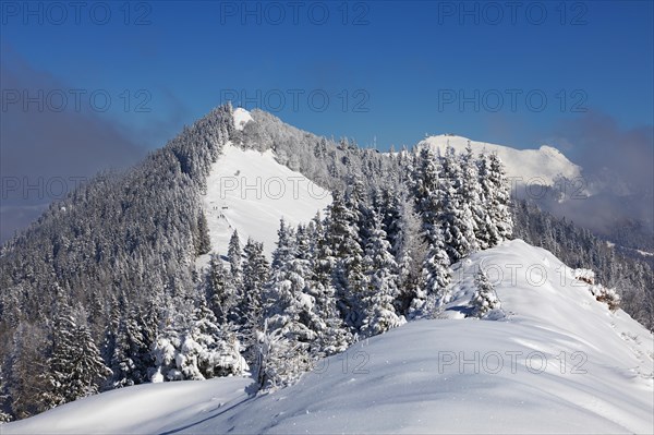 Winter landscape covered in deep snow in the Osterhorn group with a view from Pillstein to Zwoelferhorn