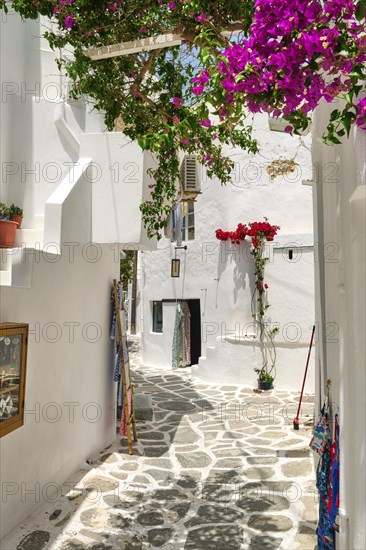 Narrow alleyways of Greek island towns