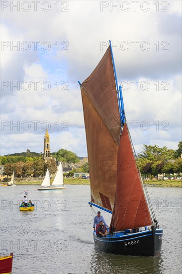 Parade of old sailboats in the Rade de Brest