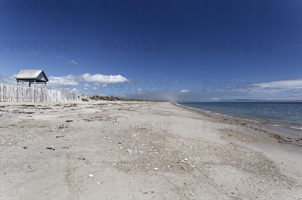 Palisades on a beach