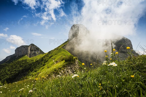 Steep mountains and clouds and flower meadow