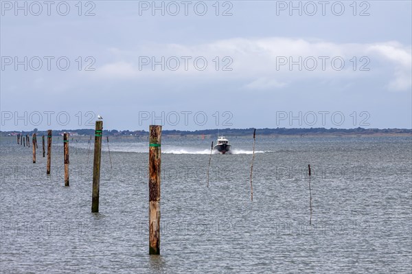 Fairway marked with wooden posts and beads