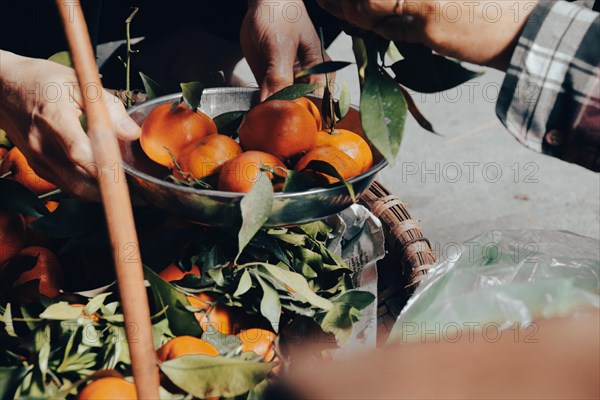 Vendor selling fresh mandarins