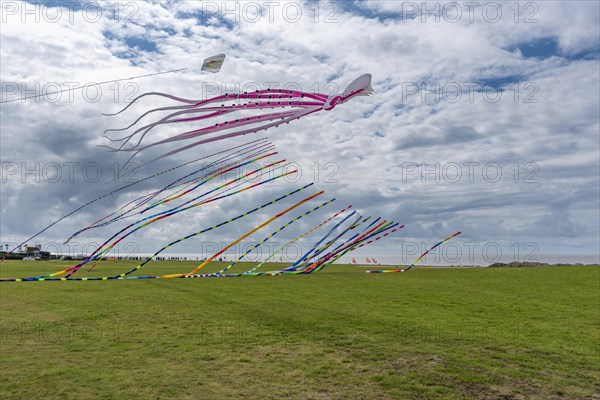 Flying kites at the so-called Drachenwiese