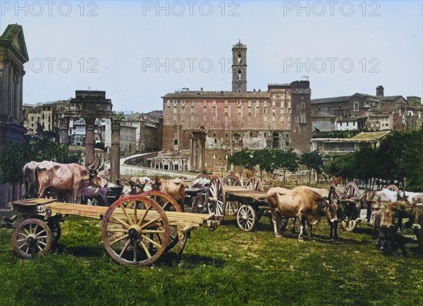 Roman Forum