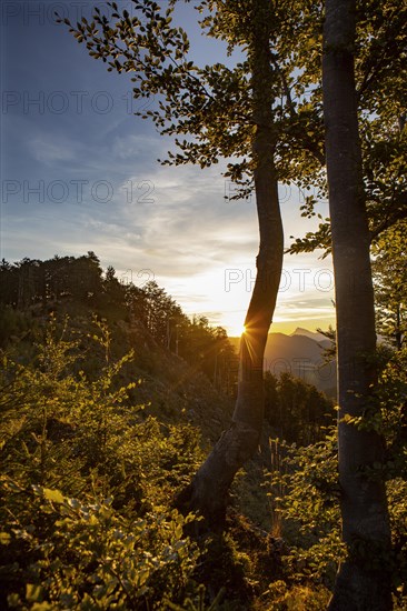 Sunrise on the Gurlspitze