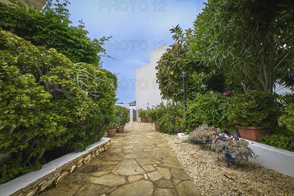 Beautiful garden in traditional Mediterranean style on overcast day after rain. Lush foliage