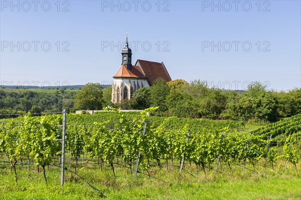 Pilgrimage church Maria im Weingarten